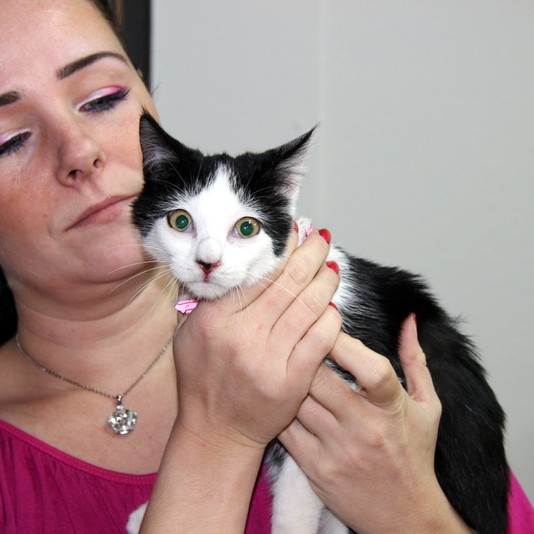 Kettlingur í óskilum