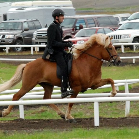 Kiljan og Konsert efstir stóðhesta 7 og 6 vetra