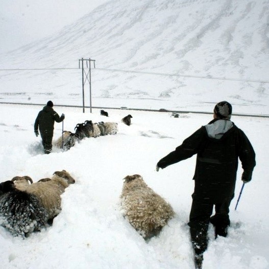 Samstöðuhátíð og styrktartónleikar fyrir bændur