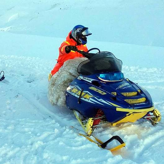 Í Staðarfjöllum fundu þeir bræður Ingólfur Jón Geirsson og Eyberg ásamt Helga Ingimarssyni tíu kindur og komu þeim til byggða. Mynd: IJG.