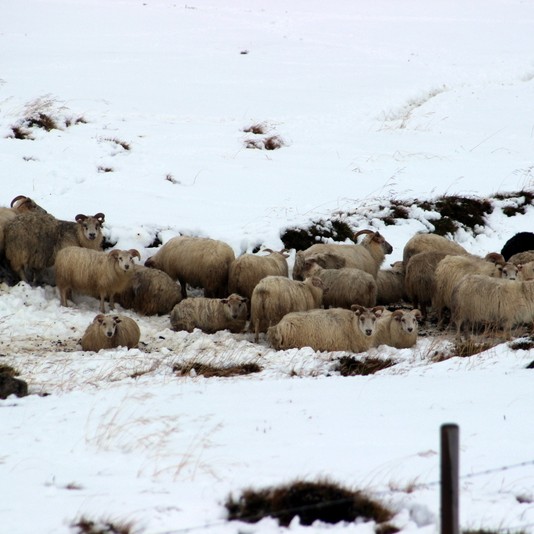 Víða verið að flýta göngum