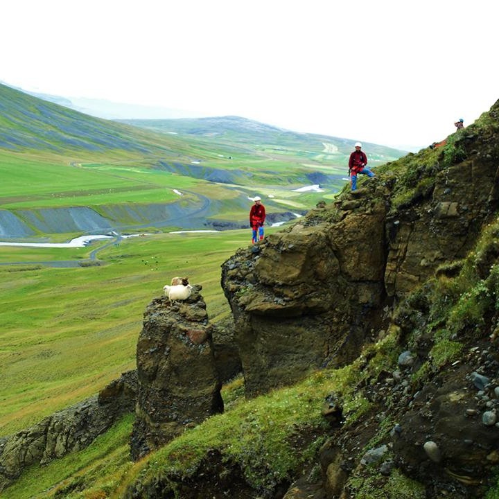 Kindum bjargað úr sjálfheldu