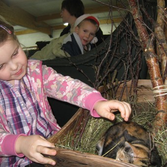 Hrímnishöllin að færast í jólabúninginn