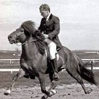 Kjarval með skeiðkeppni