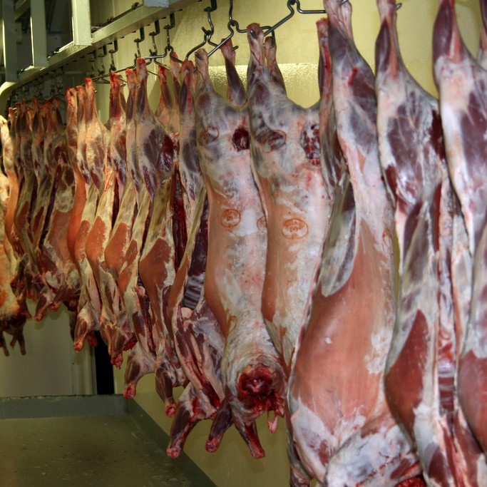 Réttarstjóra vantar