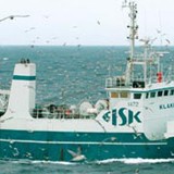 Allir togarar inni í dag