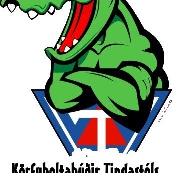 Mikið um að vera í körfuboltabúðunum