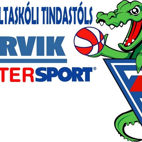 Bárður ráðinn körfuboltaskólastjóri