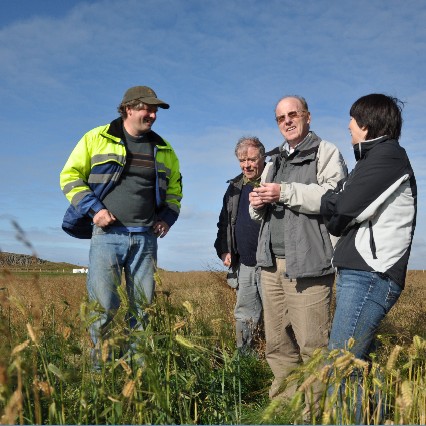 Úttektum vegna jarðræktar í Húnaþingi lokið