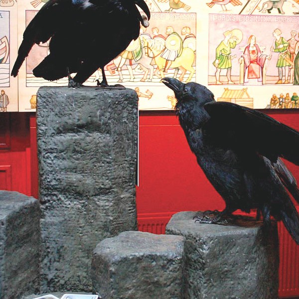 Bjartir tímar framundan hjá hnípinni þjóð - Völvuspá Spákonuarfs 2012 komin út