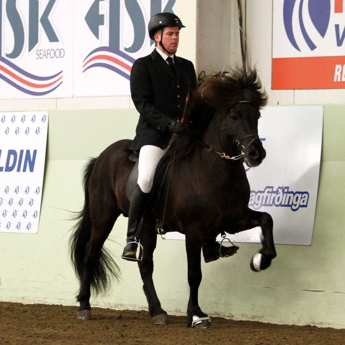 Frábær myndbönd frá KS deildinni