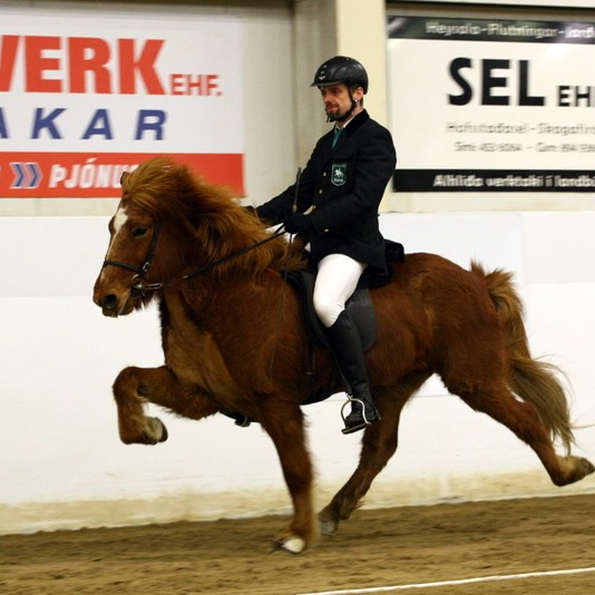 KS deildin fjórgangur - Myndband