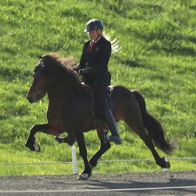 Ljósmynd frá úrtöku fyrir Landsmót á Hólum 2016. A flokkur 8,68. Mynd: varmilaekur.is.