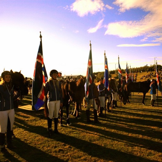 21. Landsmót hestamanna í sumar