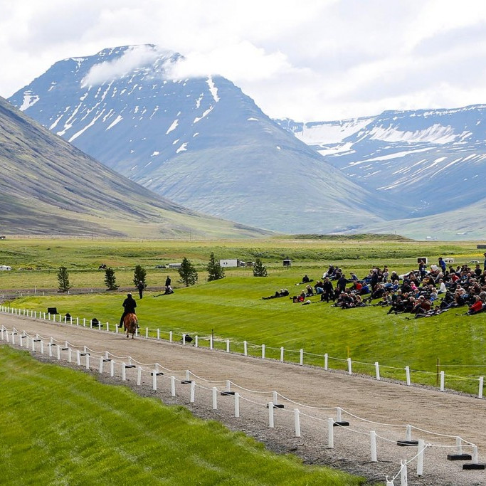 Frá Landsmóti hestamanna á Hólum í sumar. Mynd: Hinir sömu