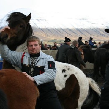 Réttardagsetningar í Húnaþingi vestra 2013
