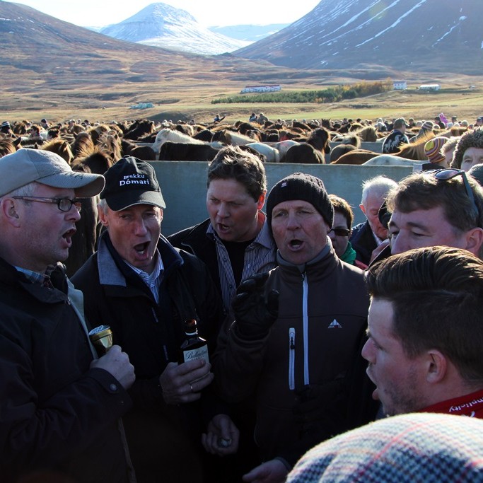 Drottning stóðrétta um næstu helgi