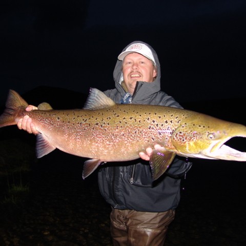 Veiðin í húnvetnsku ánum