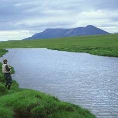 Laxá á Ásum. Mynd: angling.is.