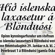 Tveir lifandi laxar komnir í Laxasetrið