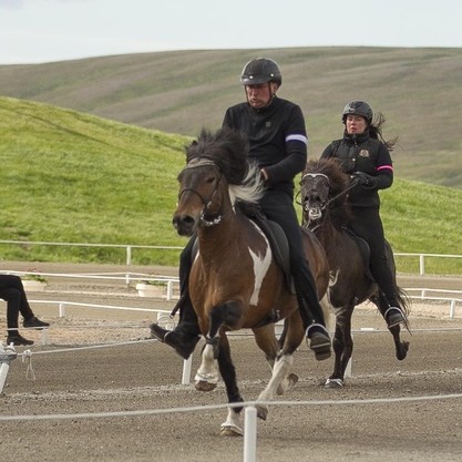 Léttir Eiríksstöðum /Mynd tekin frá Eiðfaxi.is