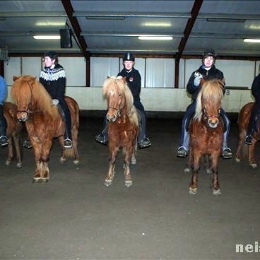 Sparisjóðs liðakeppnin - smali/skeið úrslit