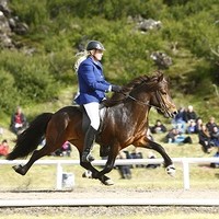 Gerðu góða ferð á metamót Spretts
