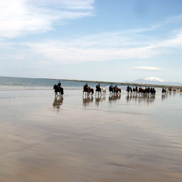 Karlar og konur ríða á föstudaginn
