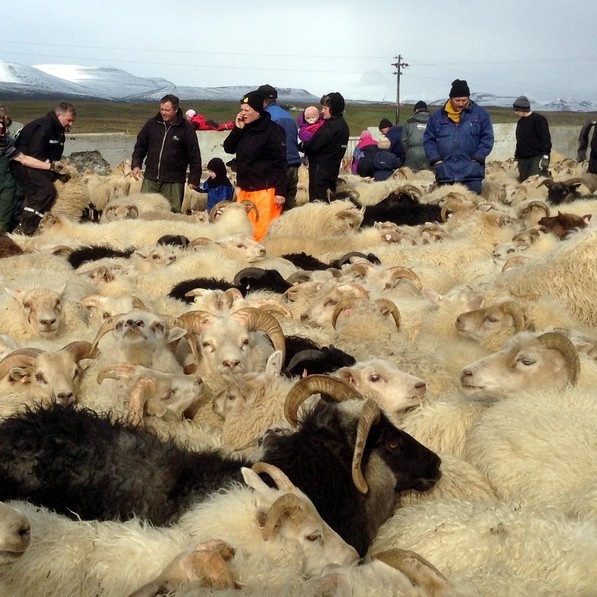 Smalaðist vel þrátt fyrir manneklu