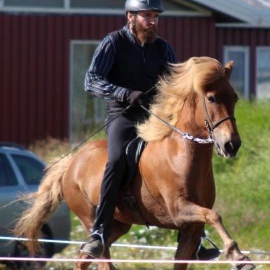 Birta frá Laugardal hlaut góðan dóm