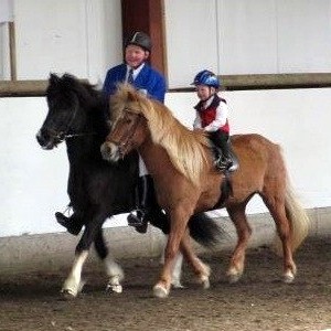 Afmælissýning Neista tókst vel