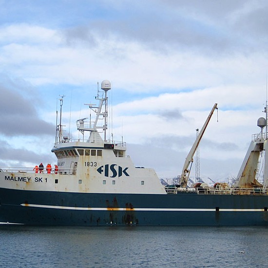 Bræla á miðunum og ostaverksmiðja væntanleg