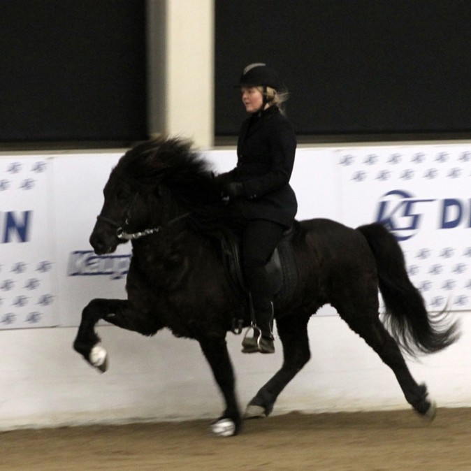 Slegið á létta strengi og gæðingskostir í hávegum hafðir