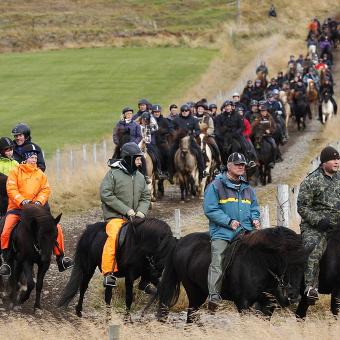 Lífsgleði í Laufskálarétt