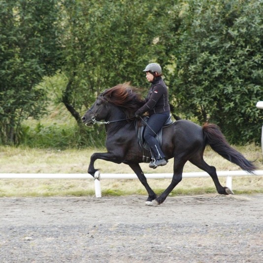 Úrslit úr Opna íþróttamóts Þyts