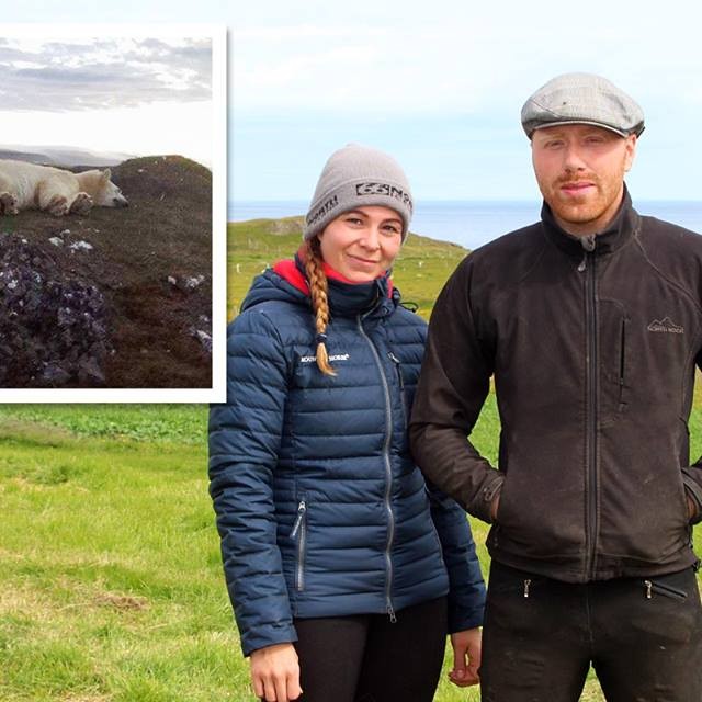 Karítas Guðrúnardóttir og Egill Þórir Bjarnason, ábúendur á Hvalnesi á Skaga. Mynd: KSE.
Á innfeldu myndinni er bjarndýrið fallið í valinn í Höfðanum þar sem þess varð fyrst vart. Mynd: KG