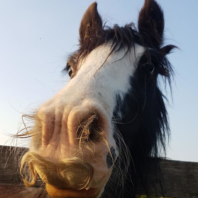 Hvað finnst þér um þetta?