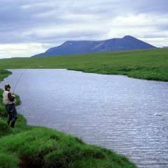 Laxá á Ásum. Mynd: Angling.is.