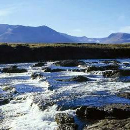 Víðidalsá. Mynd: Angling.is