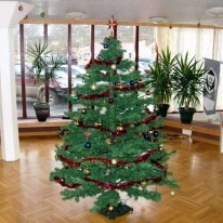 Viðburðarík aðventa