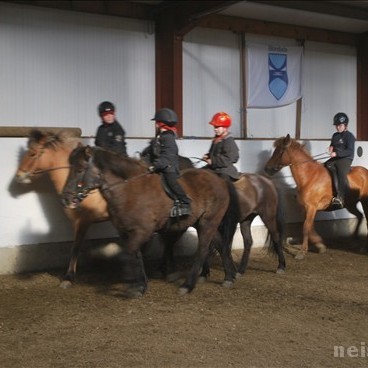 Fræðslukvöld um skeiðþjálfun hesta