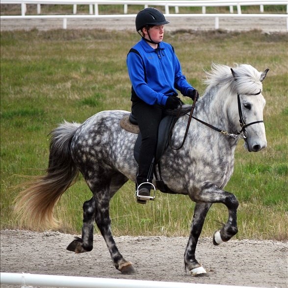 Úrslit félagsmóts Neista