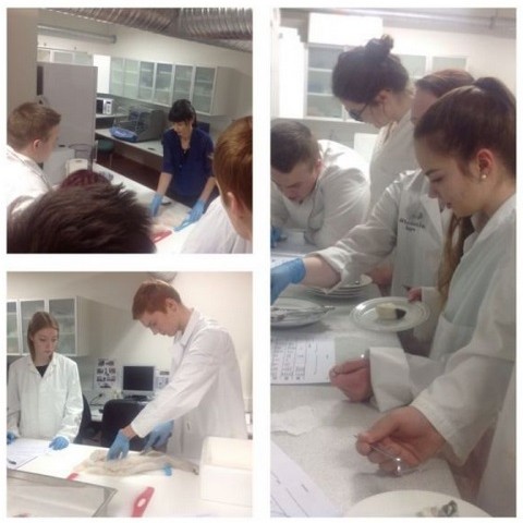 Nemendur kynnast atvinnulífi á NLV