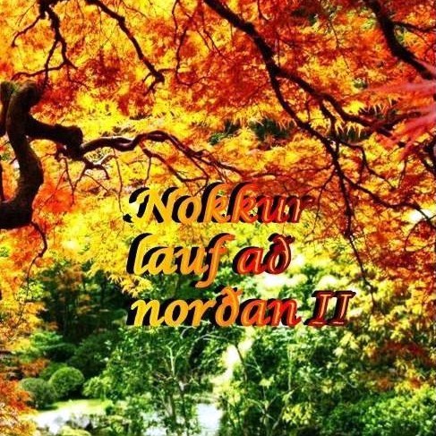 Nokkur lauf að norðan