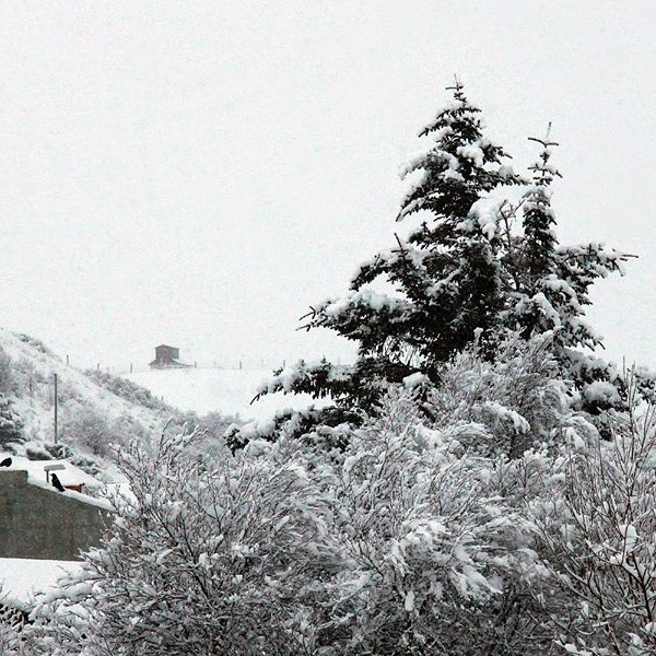 Snjór á Sauðárkróki. Mynd: ÓAB