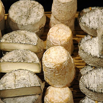 Ostanámskeið í Laxasetri