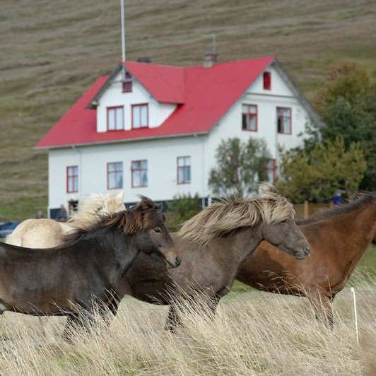 Hjónin á Geitaskarði opnuviðtali Feykis