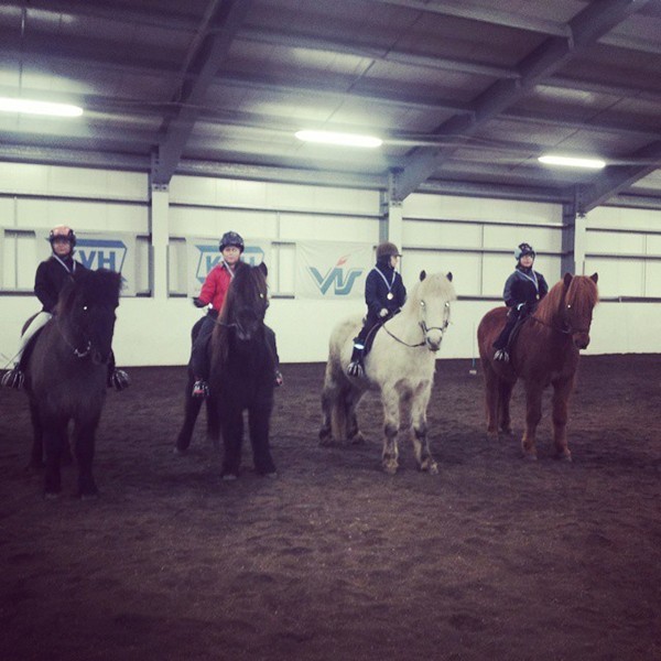 Víðidalur sigrar með einu stigi