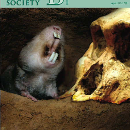 Grein um rannsókn á vegum Hólaskóla birt í virtu vísindariti