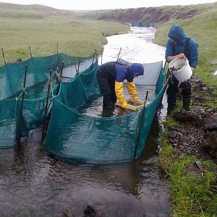 Rannsökuðu virkni bleikjuseiða á ólíkum tímum sólarhrings